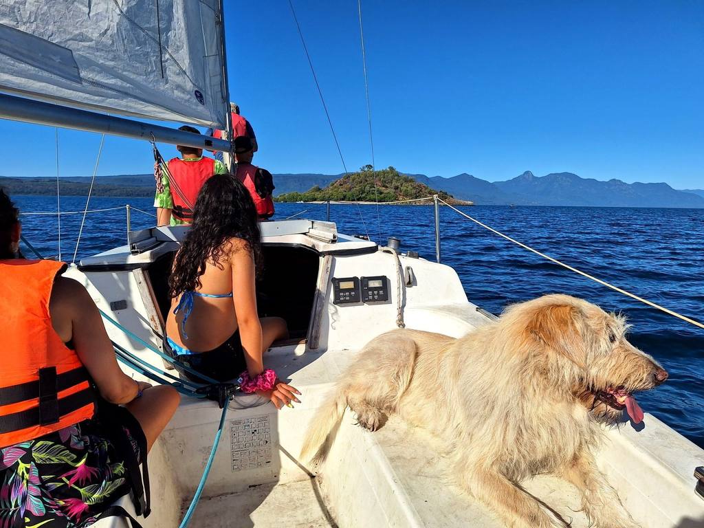 A bordo del velero