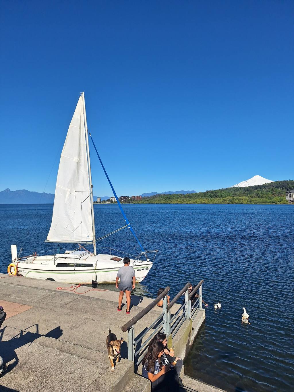 Lago Villarrica